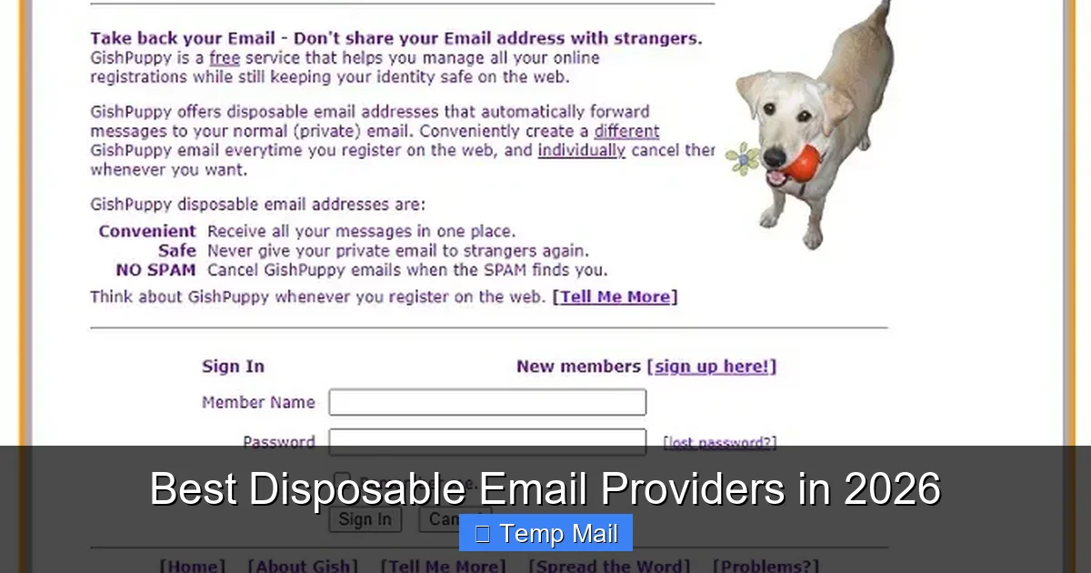 Best Disposable Email Providers in 2026